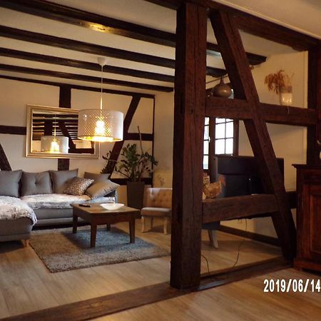 Duplex Saint Lustre, View Over Castle And Storks, 5 Mn From Colmar エーグイスハイム エクステリア 写真
