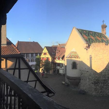 Duplex Saint Lustre, View Over Castle And Storks, 5 Mn From Colmar エーグイスハイム エクステリア 写真