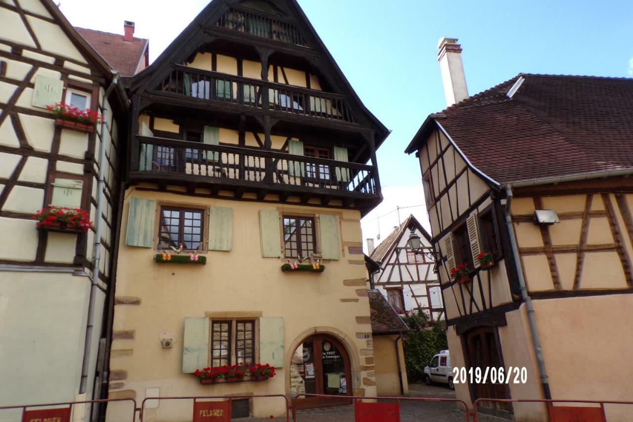 Duplex Saint Lustre, View Over Castle And Storks, 5 Mn From Colmar エーグイスハイム エクステリア 写真