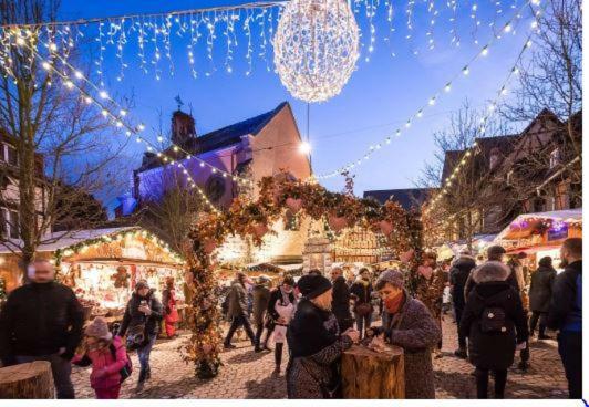 Duplex Saint Lustre, View Over Castle And Storks, 5 Mn From Colmar エーグイスハイム エクステリア 写真
